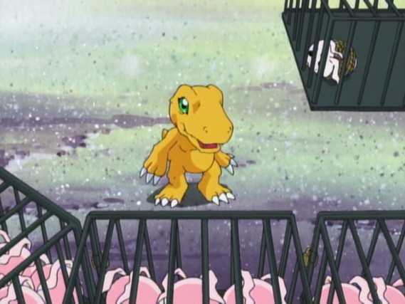 Rewatch of Digimon Adventure Episode 15