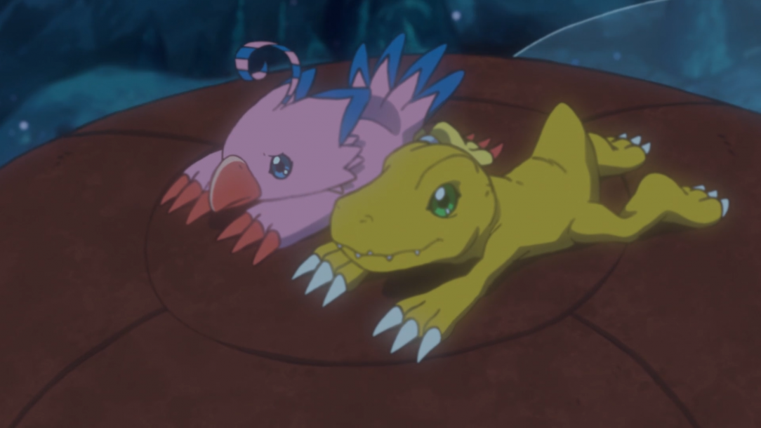 DIGIMON ADVENTURE 2020  ANÁLISE EP 34 - HIKARI E TAILMON 