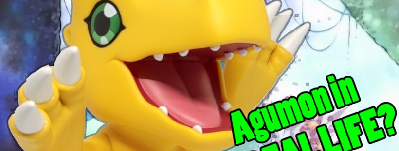 HUGE Agumon Figure and Other Cool Digimon Collectibles