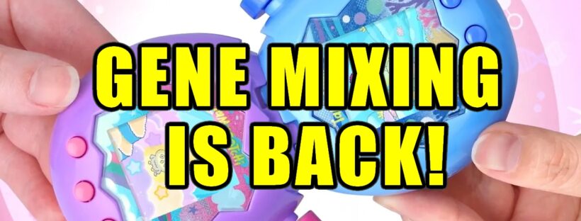 Connecting on the Tamagotchi Paradise | The Return of Gene Mixing!