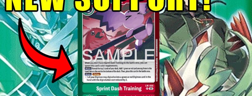 Zephagamon Option Choices | How To Build Zephagamon/Vortexdramon Part 8 Zephagamon Option Choices | How To Build Zephagamon/Vortexdramon Part 8